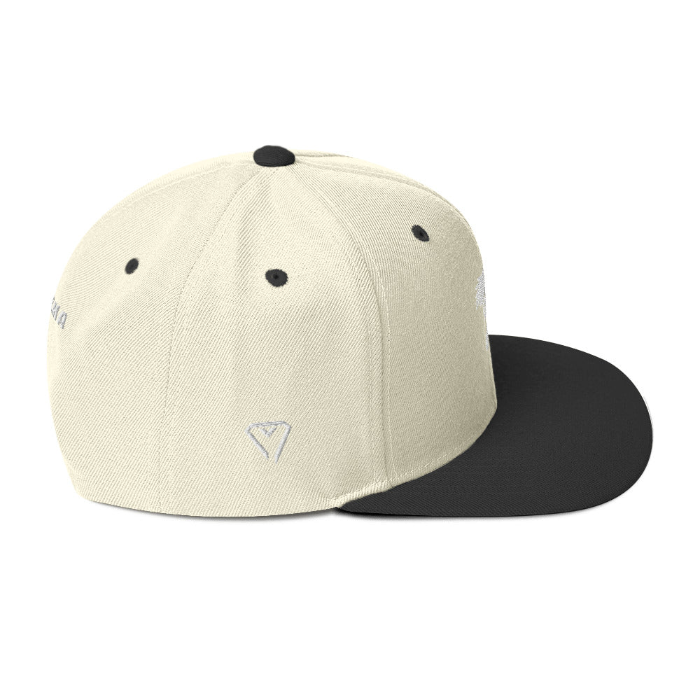 Vulture Snapback Hat